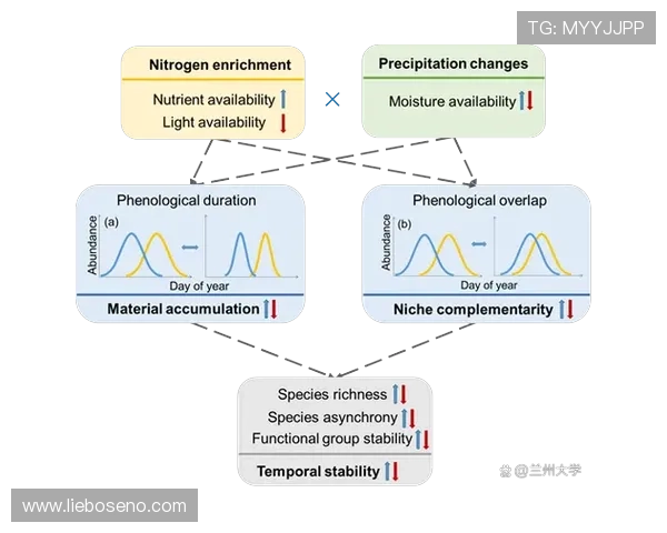 努涅斯情绪控制对比赛稳定性的影响分析 努涅斯情绪控制对比赛稳定性的影响分析